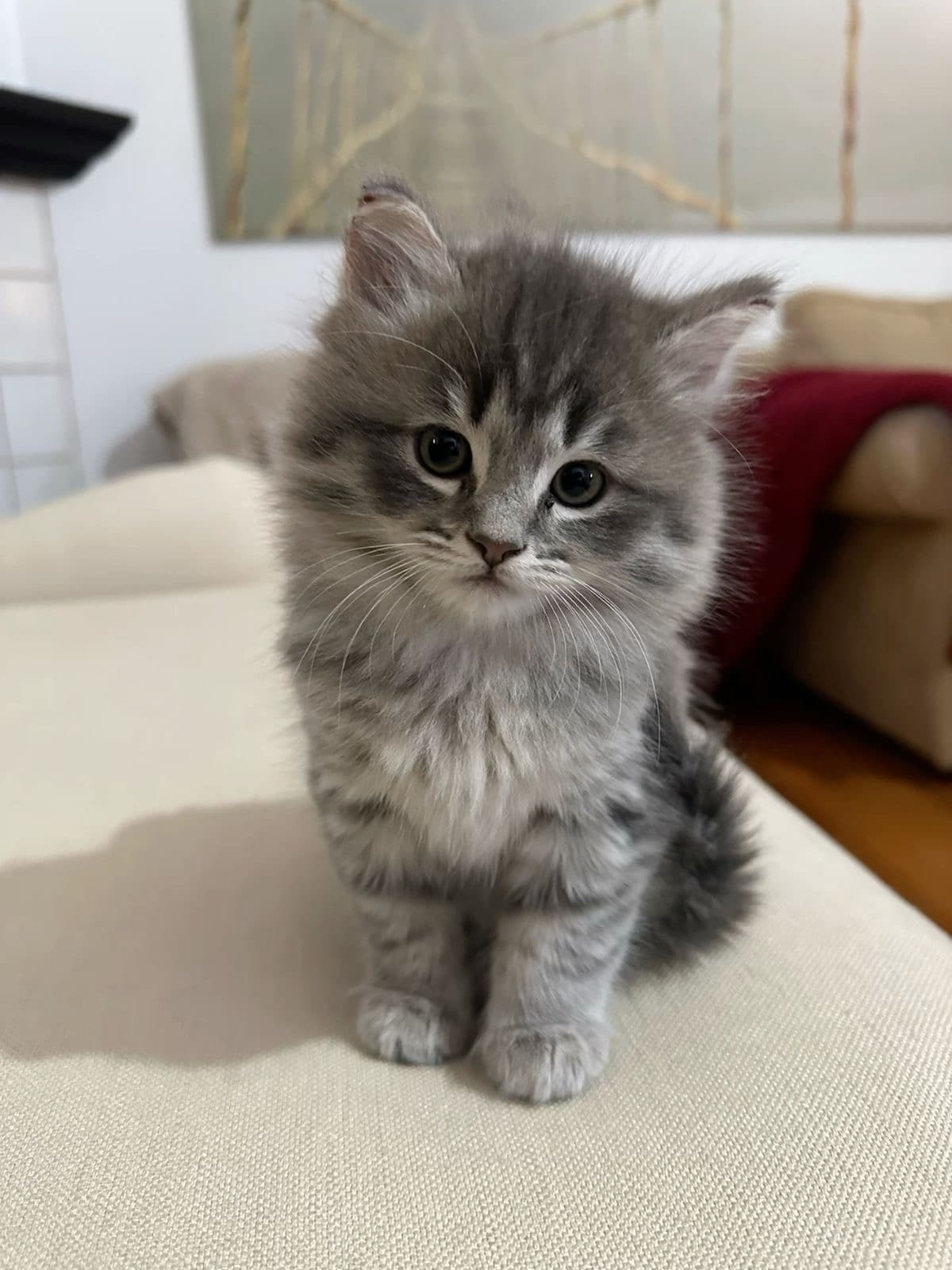 Tetyana Rimaryuk