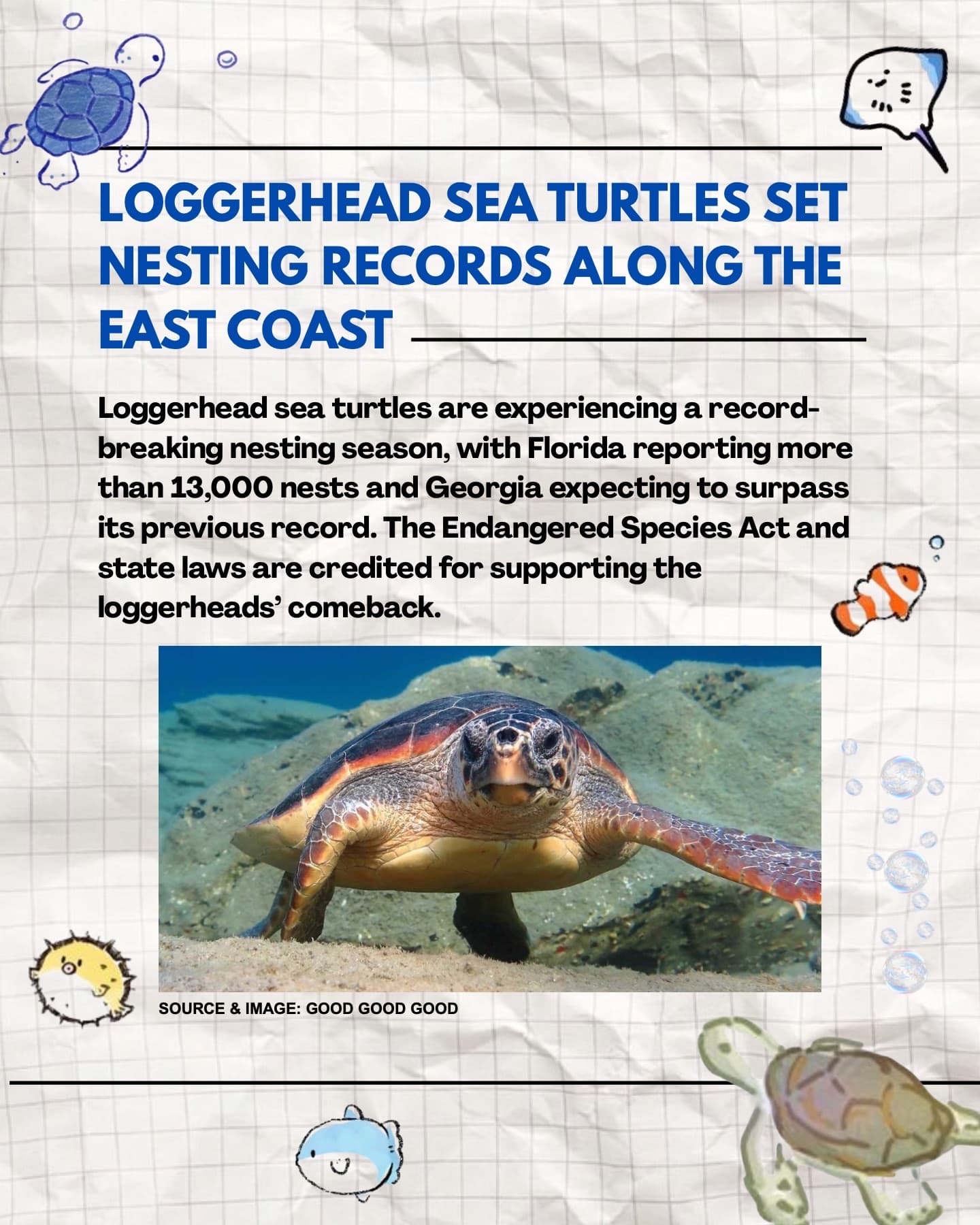 Our First Newsletter!, page 7