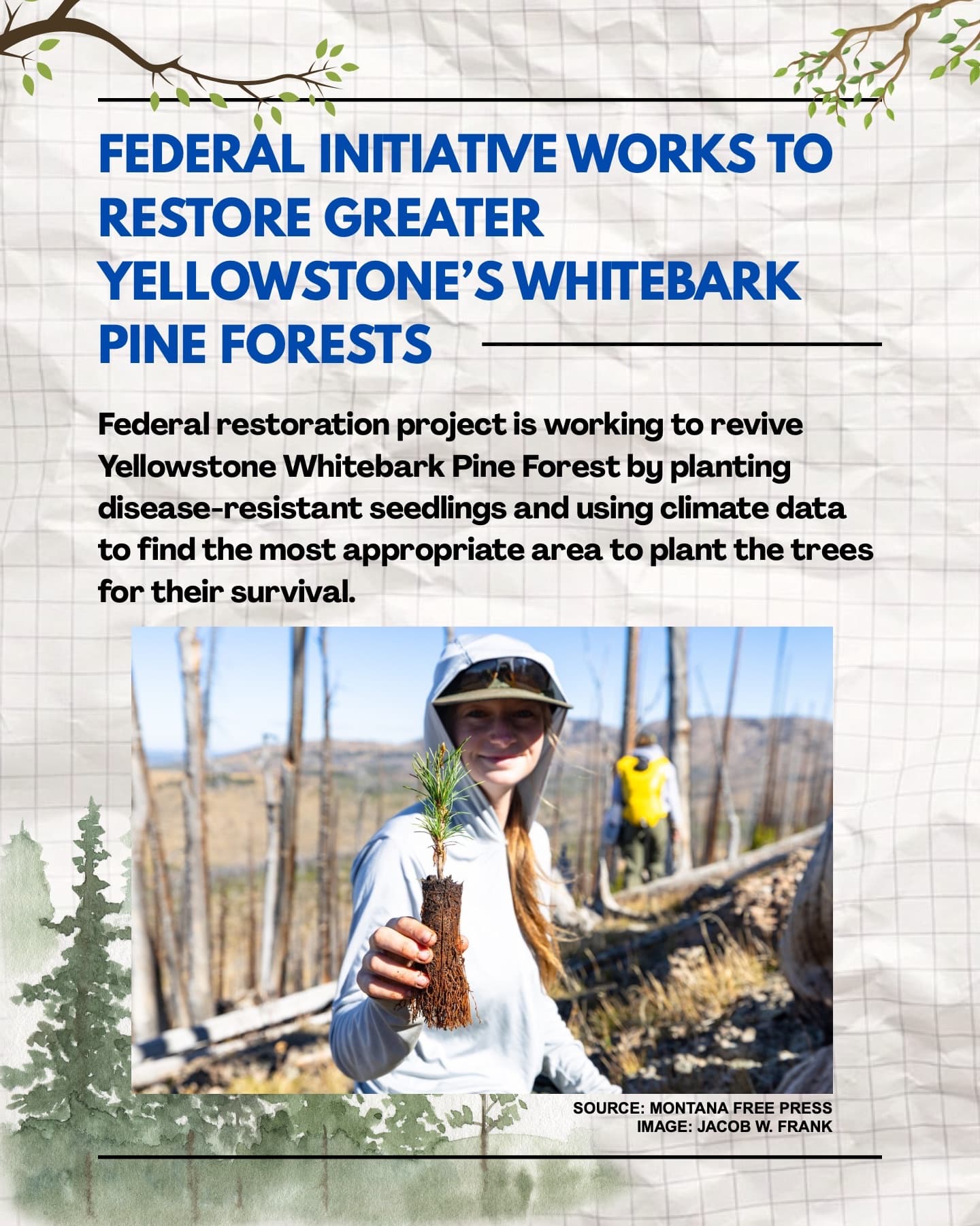 Our First Newsletter!, page 8